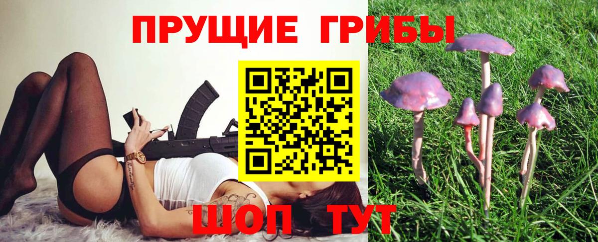 Михайловка  Галлюциногенные грибы Psilocybine cubensis  Вход с VPN 
