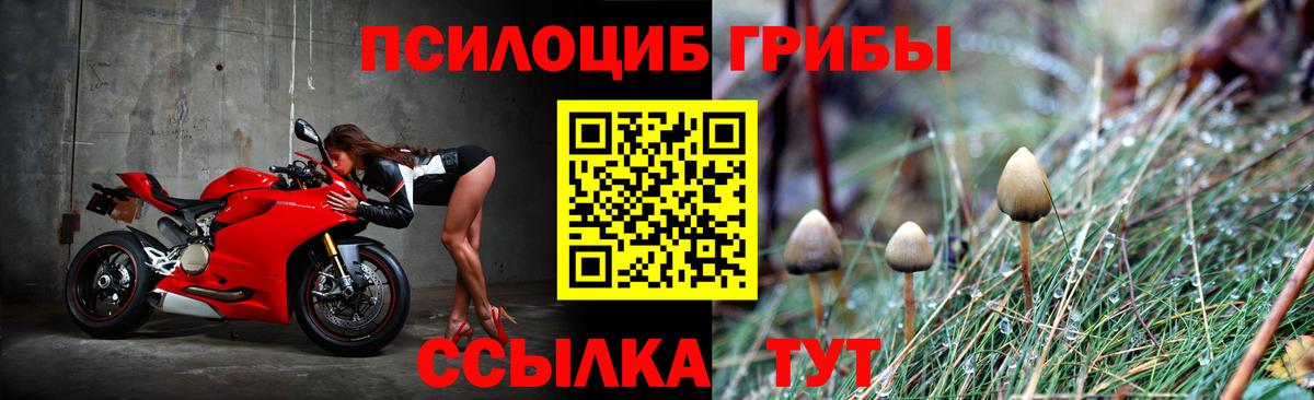 Амфетамин   Бошки Шишки  Вход с VPN  Метадон  Мефедрон кристаллы  Михайловка  Гашиш  Кокаин 